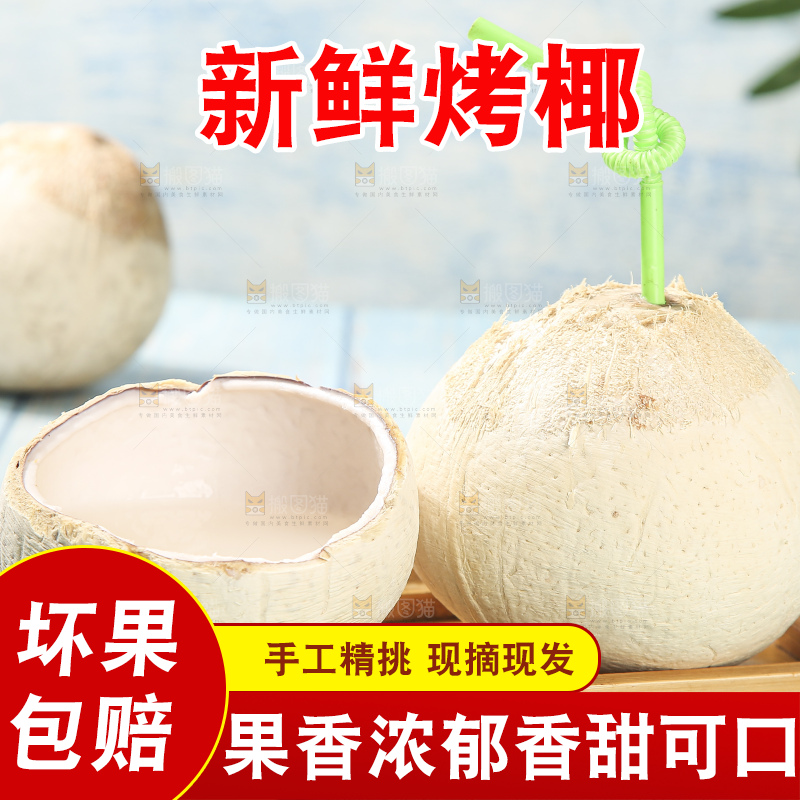 浅底上的泰国进口烤椰