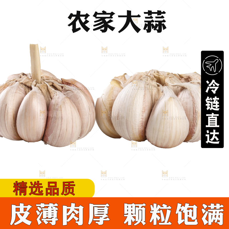 白底上的干蒜