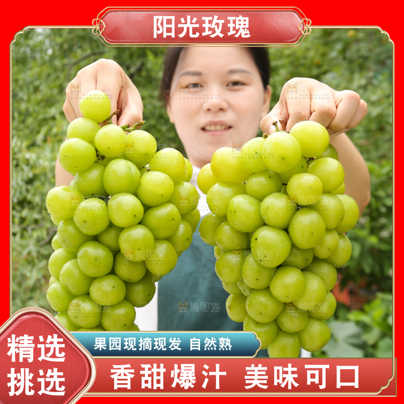 手里拿着阳光玫瑰