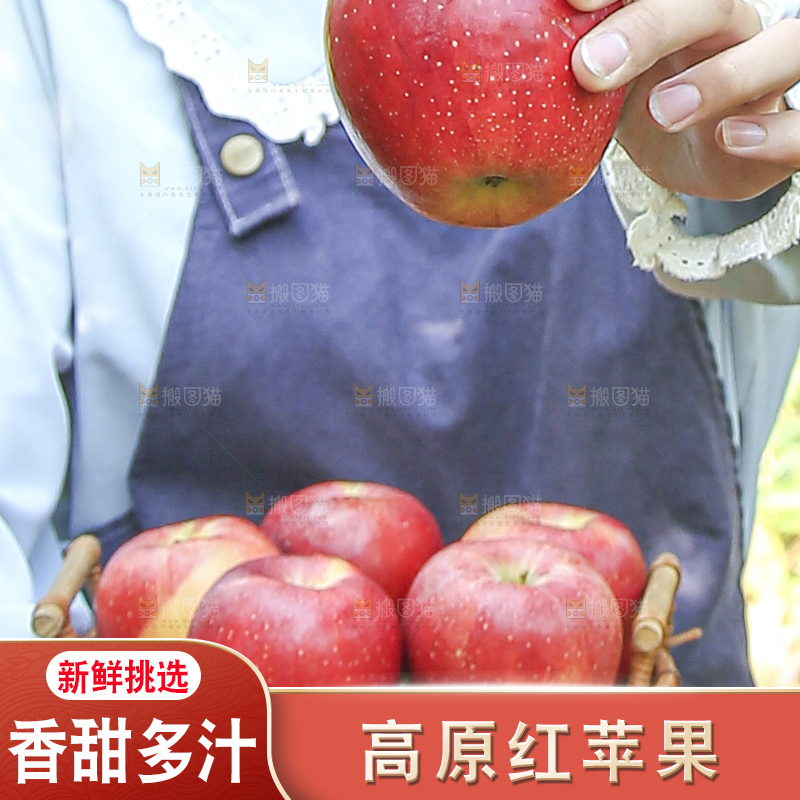 手里拿着高原红苹果