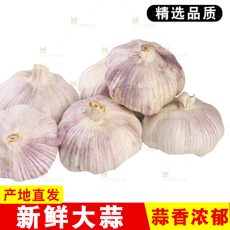 白底上的干蒜