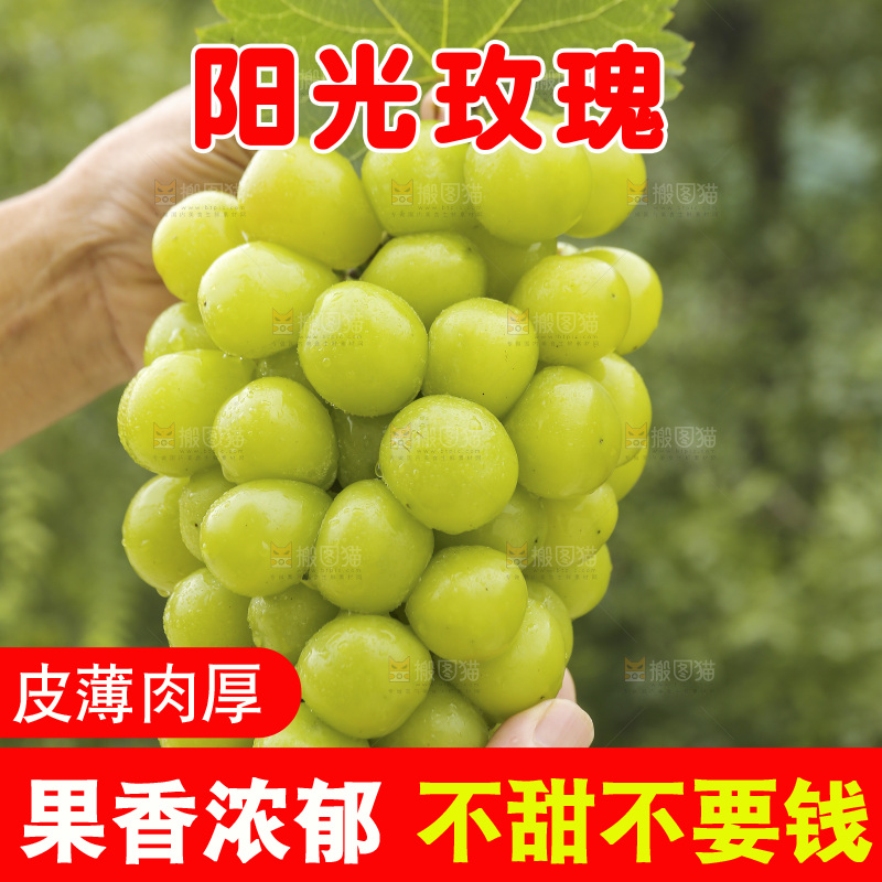 手里拿着阳光玫瑰