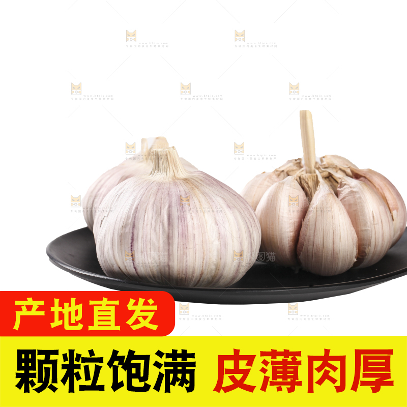 白底上的干蒜