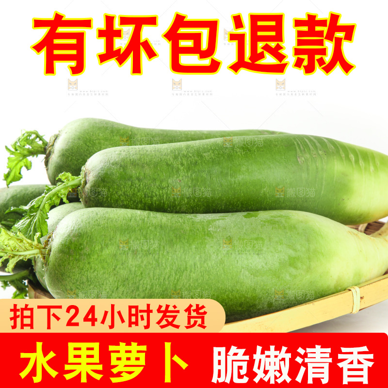 白底上的水果萝卜