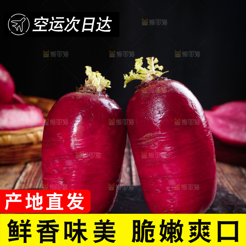 紫美人萝卜主图