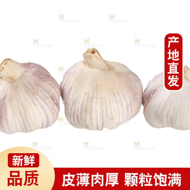 白底上的干蒜