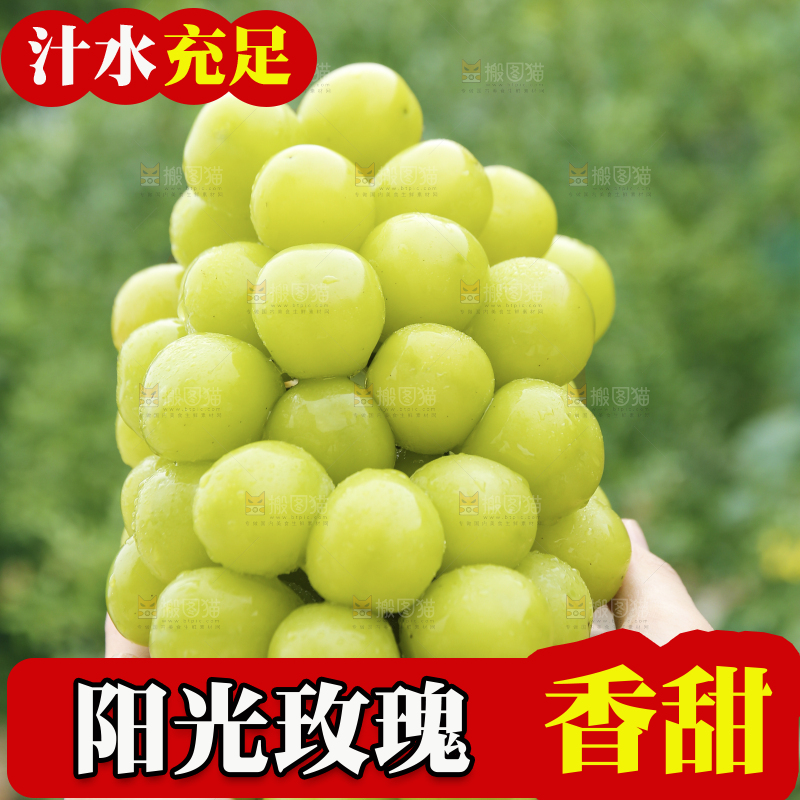 手里拿着阳光玫瑰