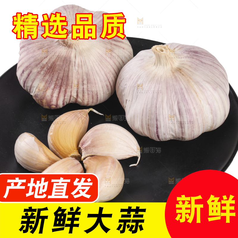 白底上的干蒜