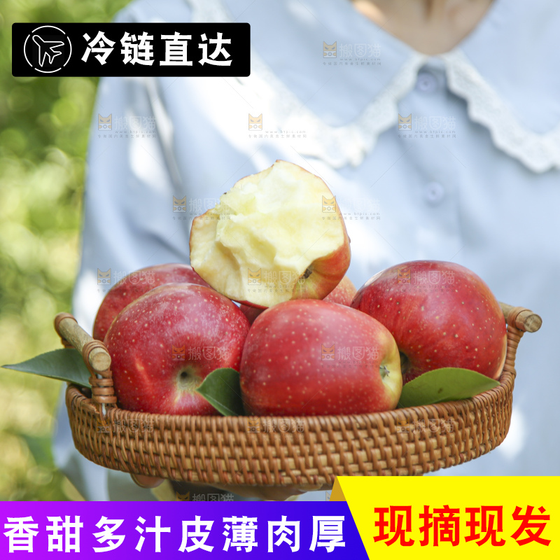 手里拿着高原红苹果