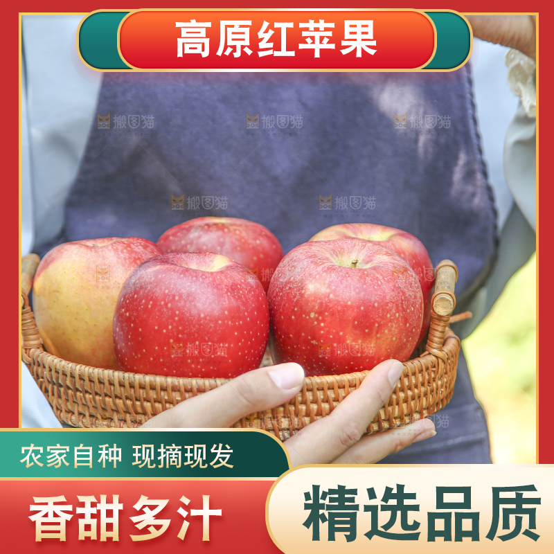 手里拿着高原红苹果