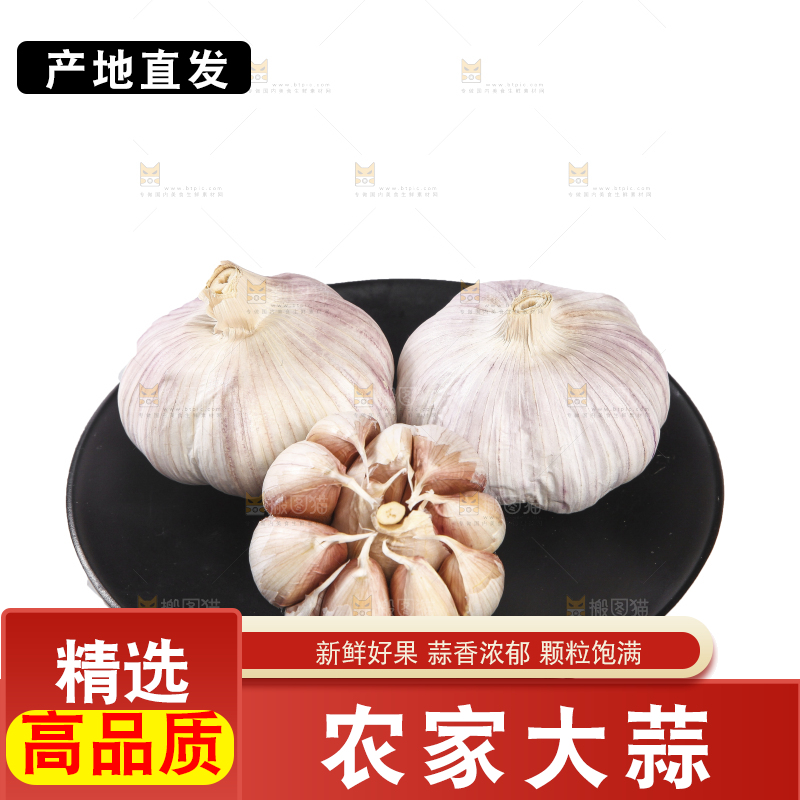 白底上的干蒜