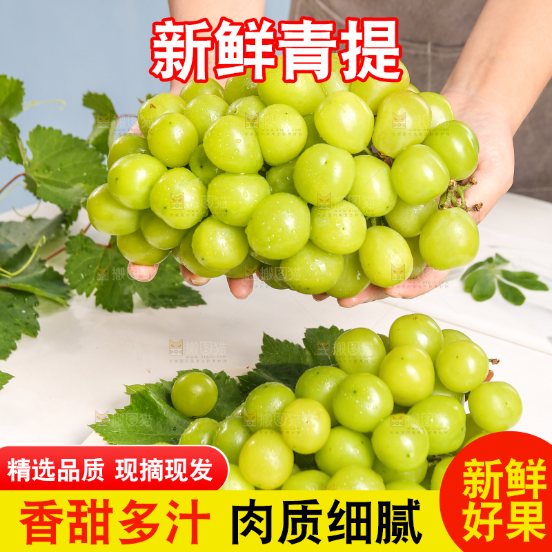 浅底上的晴王香印青提