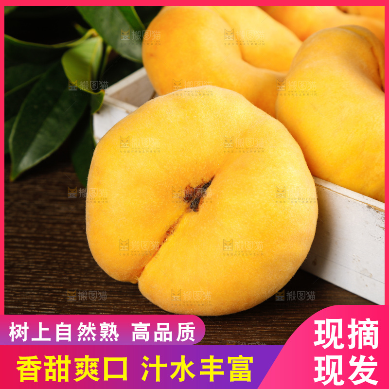 深底上的黄毛蟠桃