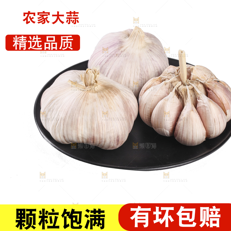 白底上的干蒜