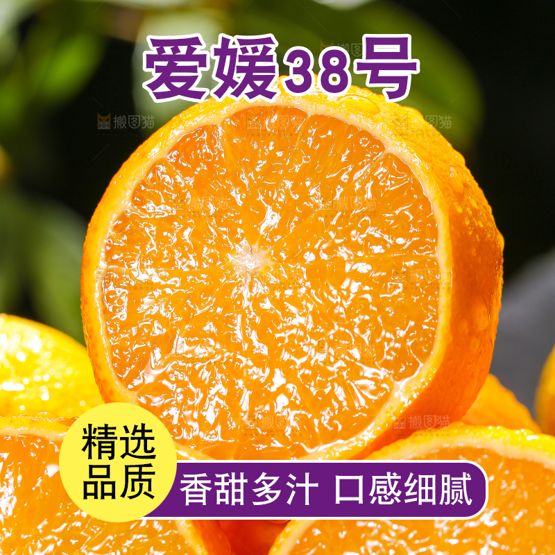 爱媛果冻橙主图