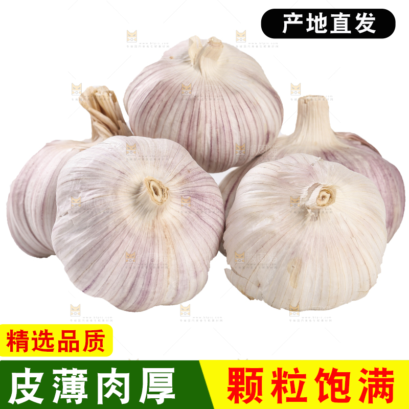 白底上的干蒜