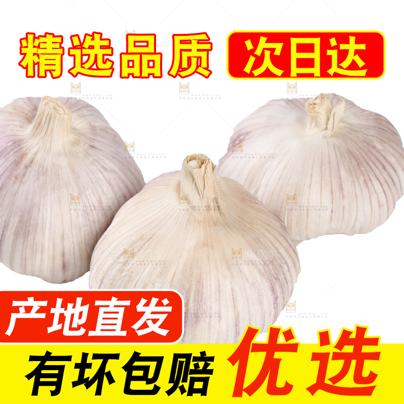 白底上的干蒜