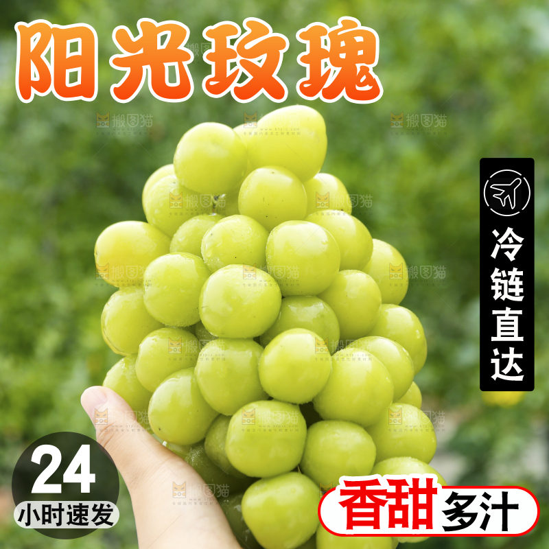 手里拿着阳光玫瑰
