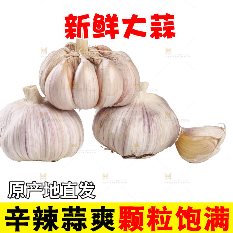 白底上的干蒜