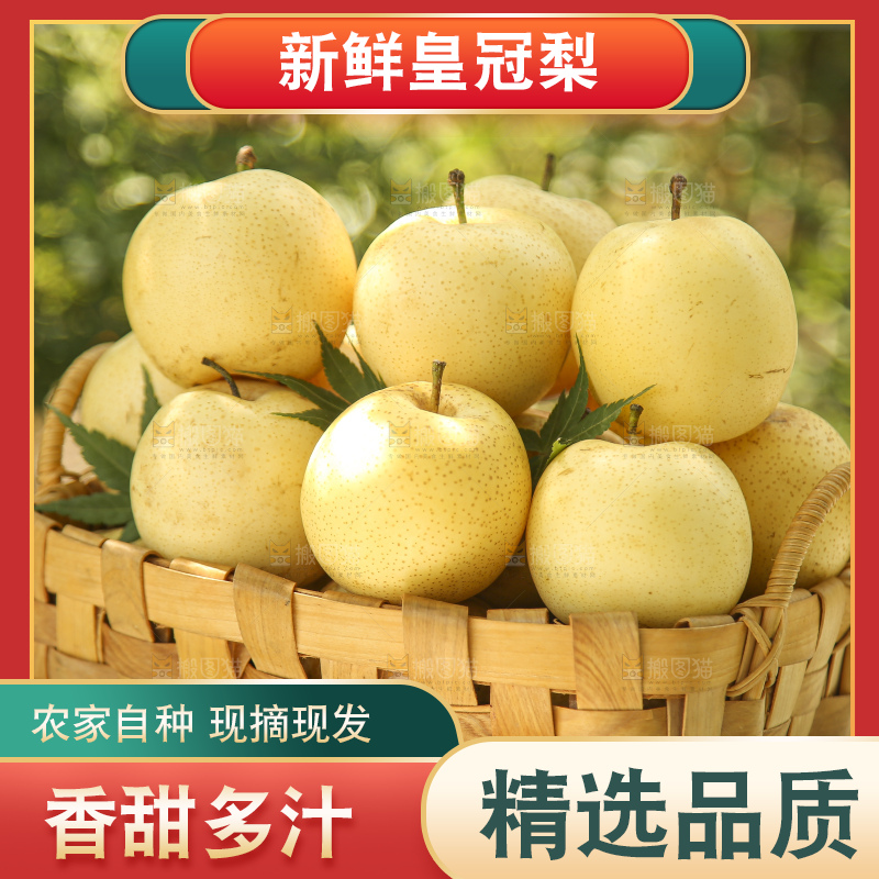 手里拿着新鲜皇冠梨