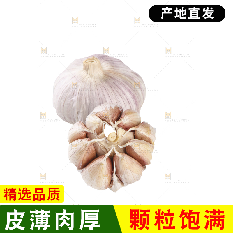 白底上的干蒜