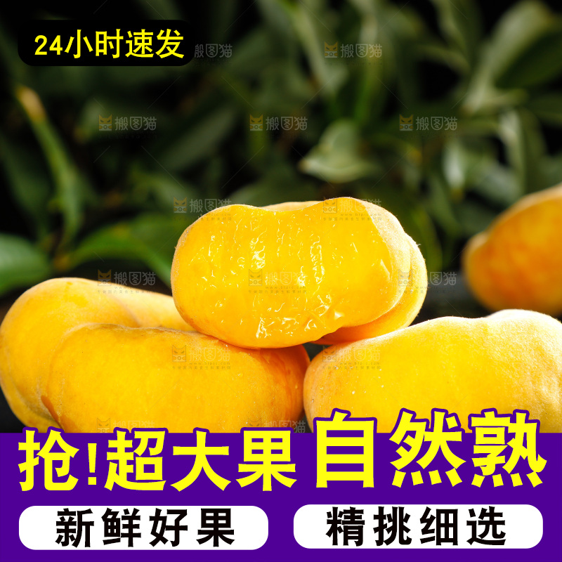 深底上的黄毛蟠桃