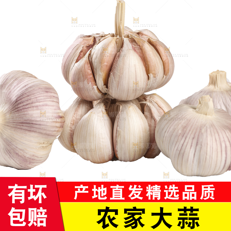 白底上的干蒜