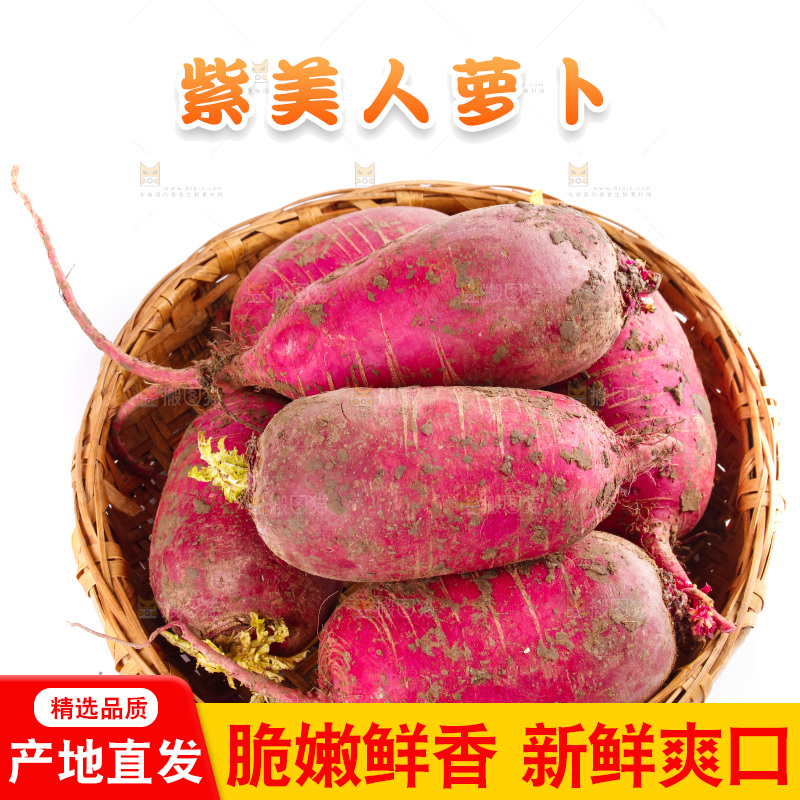 白底上的紫美人萝卜