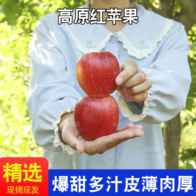手里拿着高原红苹果