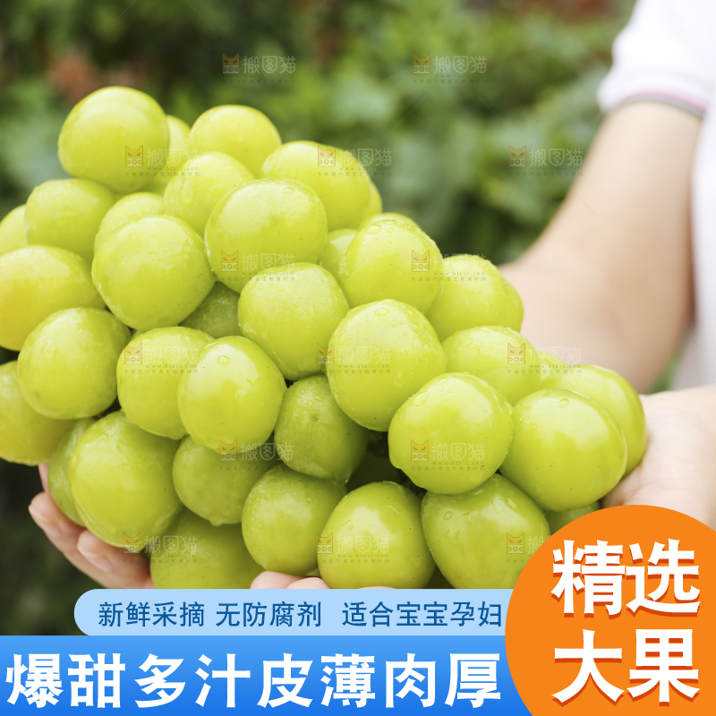 手里拿着阳光玫瑰