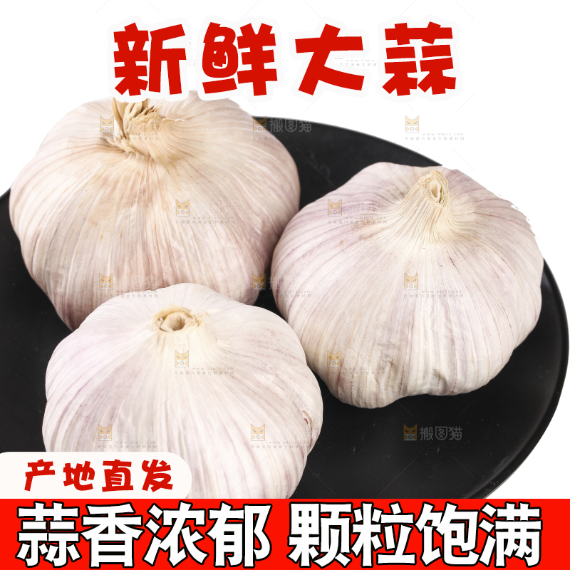 白底上的干蒜