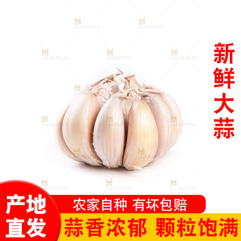 白底上的干蒜