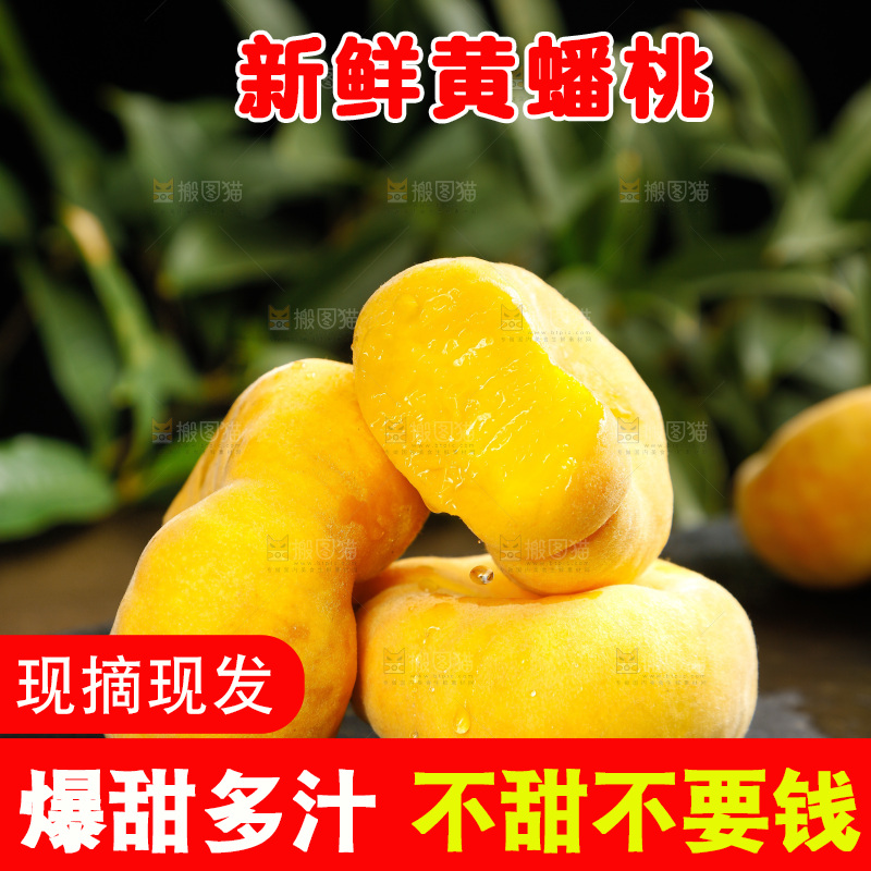 深底上的黄毛蟠桃