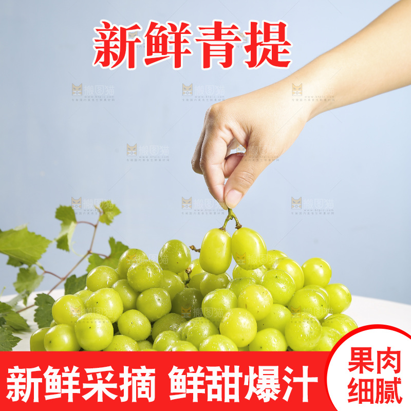 浅底上的晴王香印青提