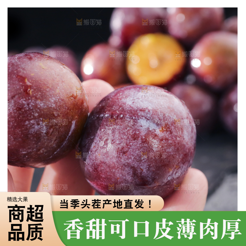 深底上放着脱骨李