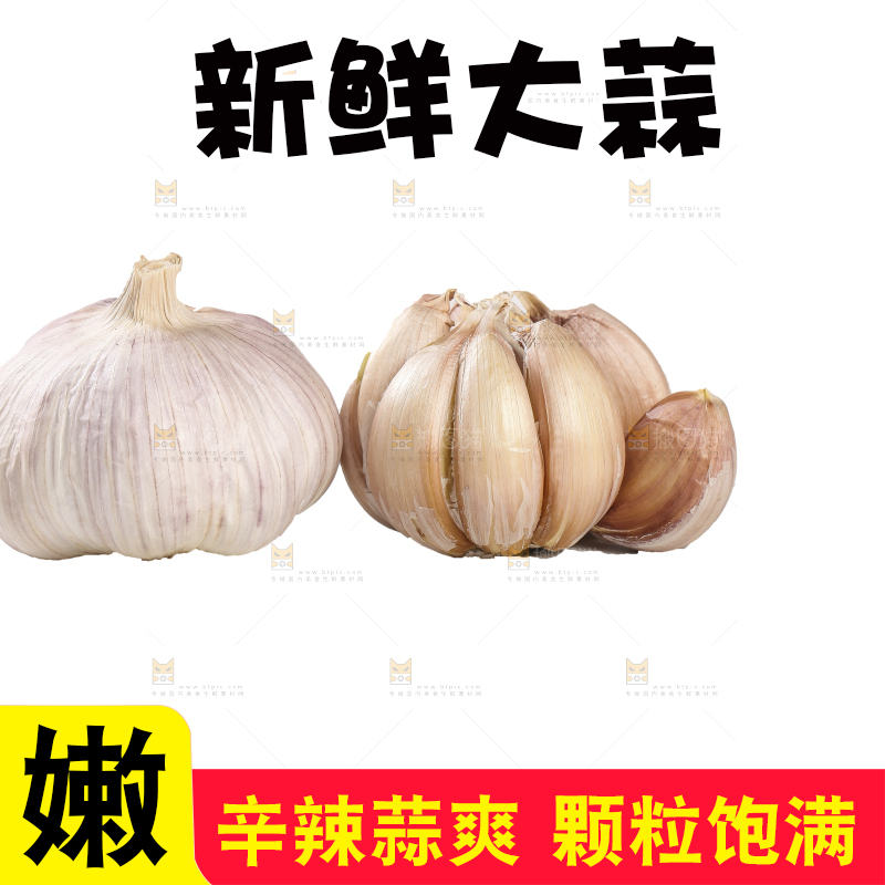 白底上的干蒜
