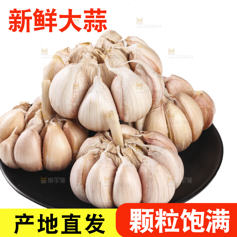 白底上的干蒜