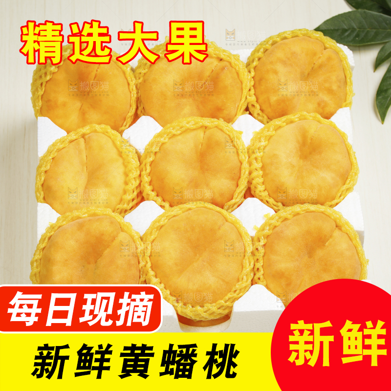 白底上放着的黄金蟠桃