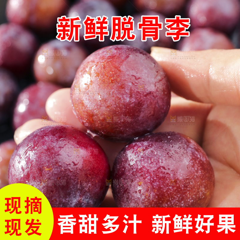 深底上放着脱骨李