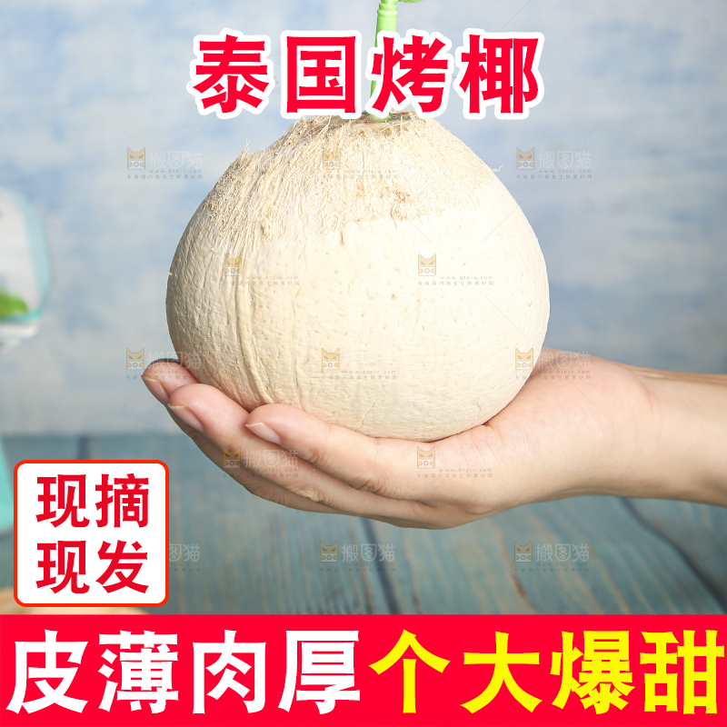 浅底上的泰国进口烤椰
