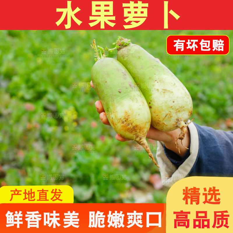 手里拿着水果萝卜