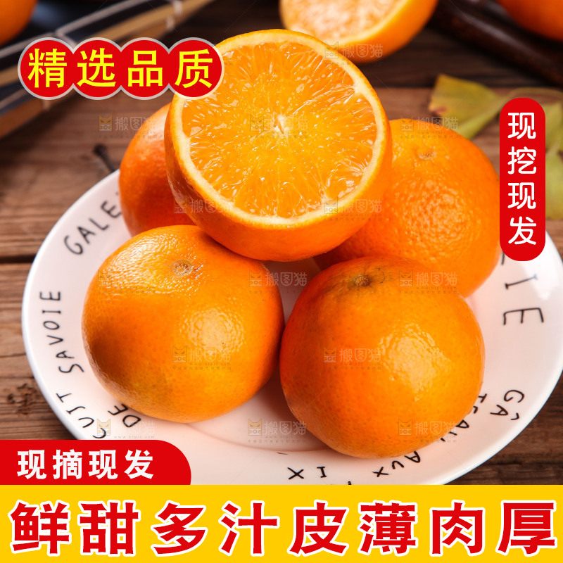深木底上的爱媛38号