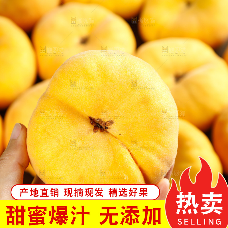 深底上的黄毛蟠桃