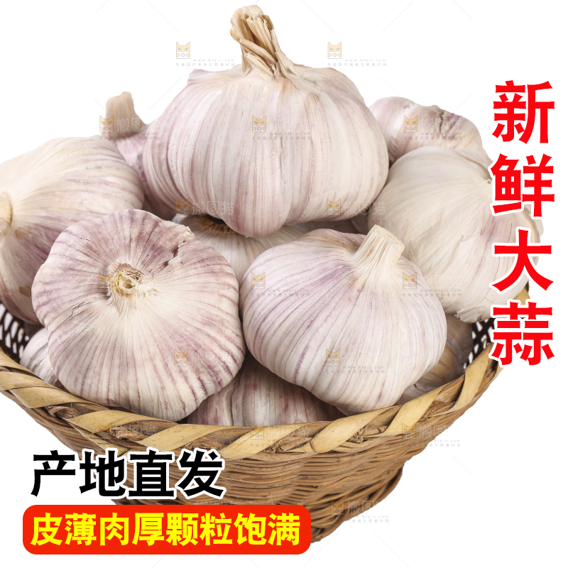 白底上的干蒜