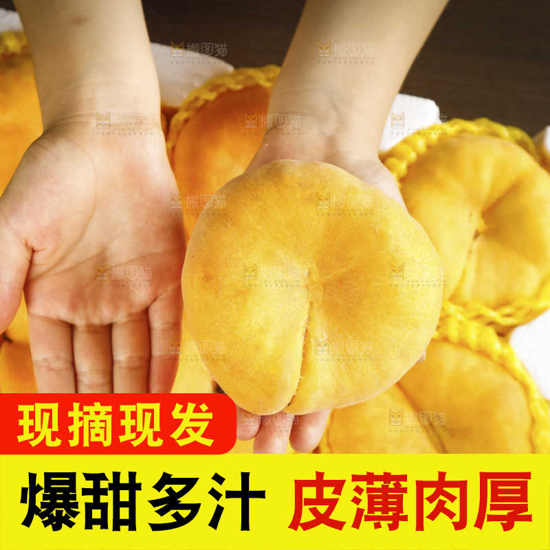 深底上的黄毛蟠桃