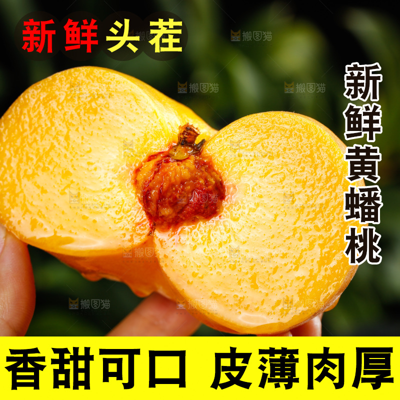 深底上的黄毛蟠桃