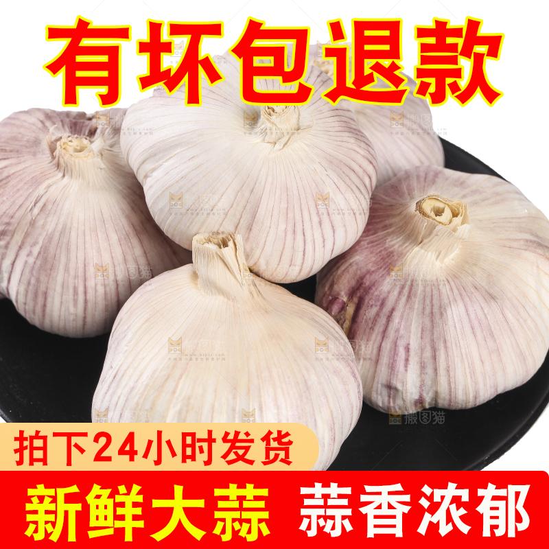 白底上的干蒜