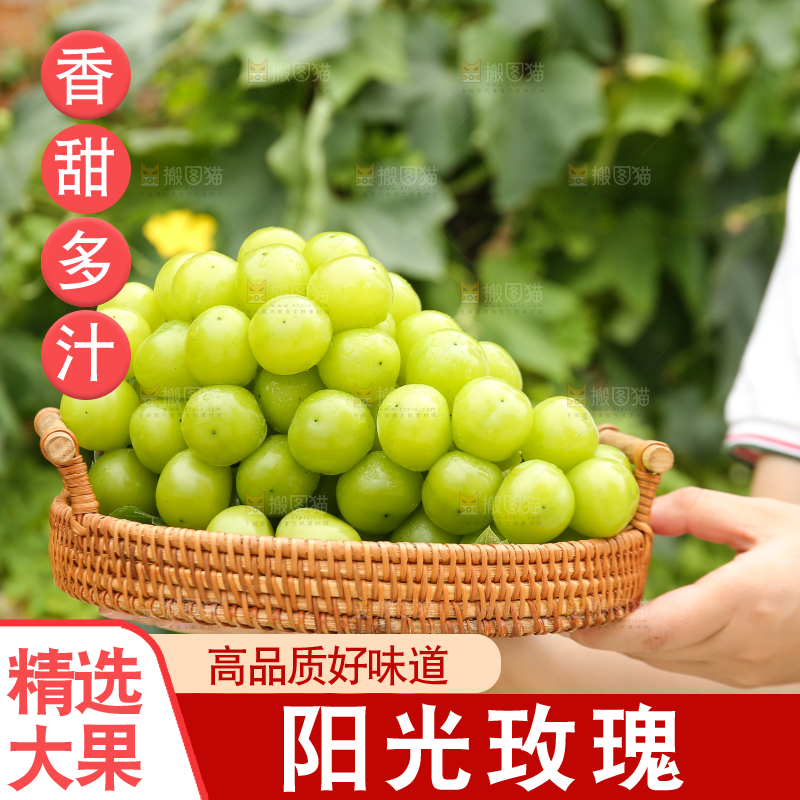 手里拿着阳光玫瑰