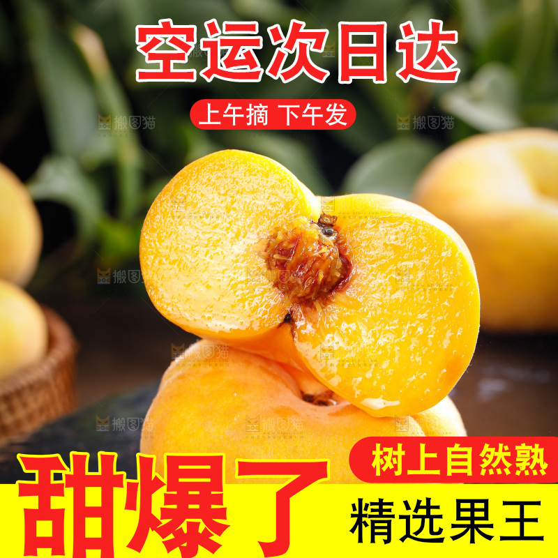 深底上的黄毛蟠桃