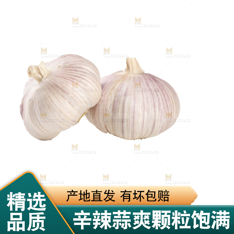白底上的干蒜